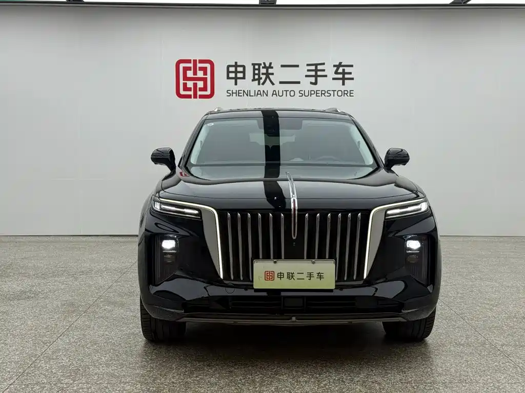 Hongqi E-HS9 2023 — фото 5