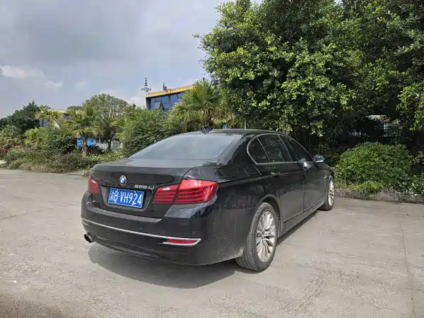 BMW 5 Series 2015