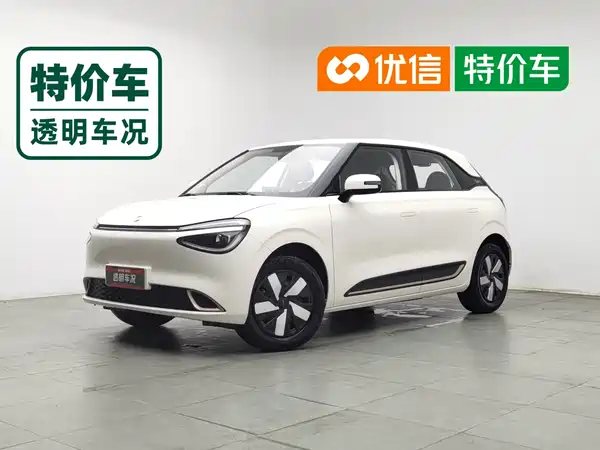 Dongfeng Nano 01 2024