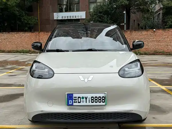 Wuling Bingo 2024