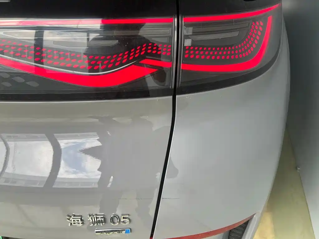 BYD Sealion 05 EV 2025 — фото 21