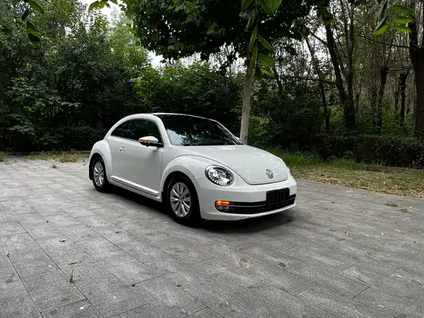 Volkswagen Beetle 2014