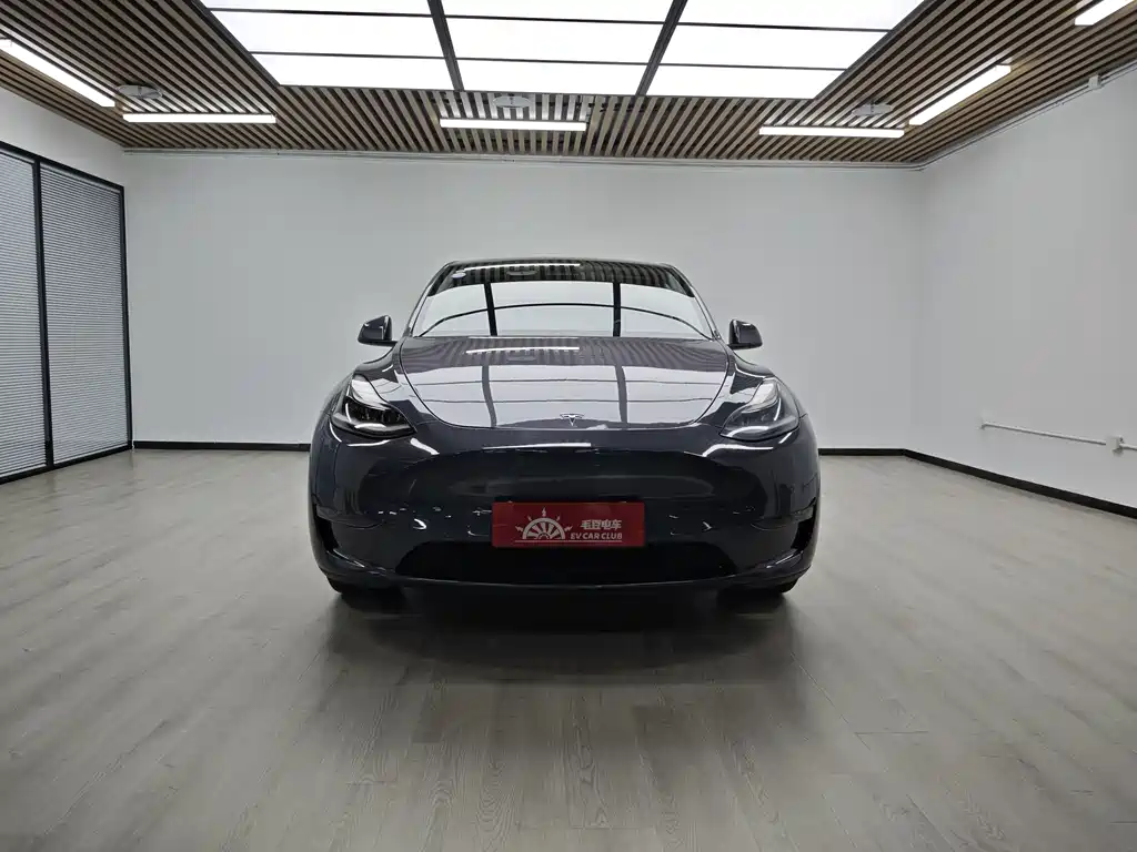 Tesla Model Y 2021 — фото 4