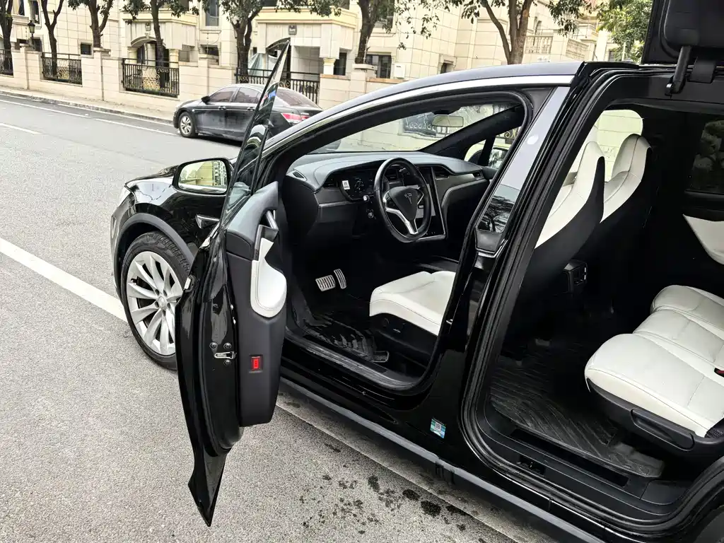 Tesla Model X 2019 — фото 7