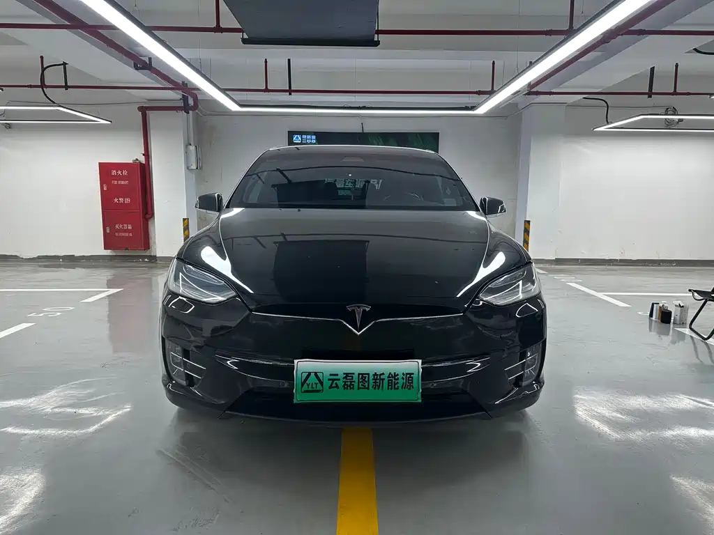 Tesla Model X 2018 — фото 2