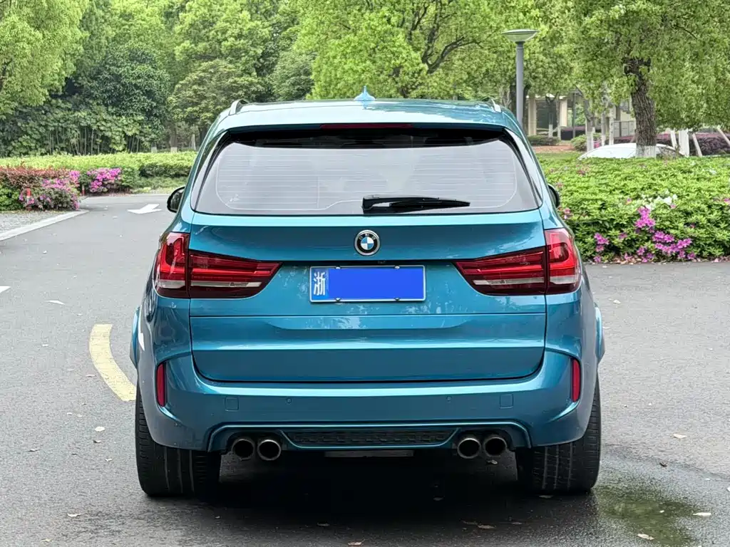 BMW X5 M 2018 — фото 6