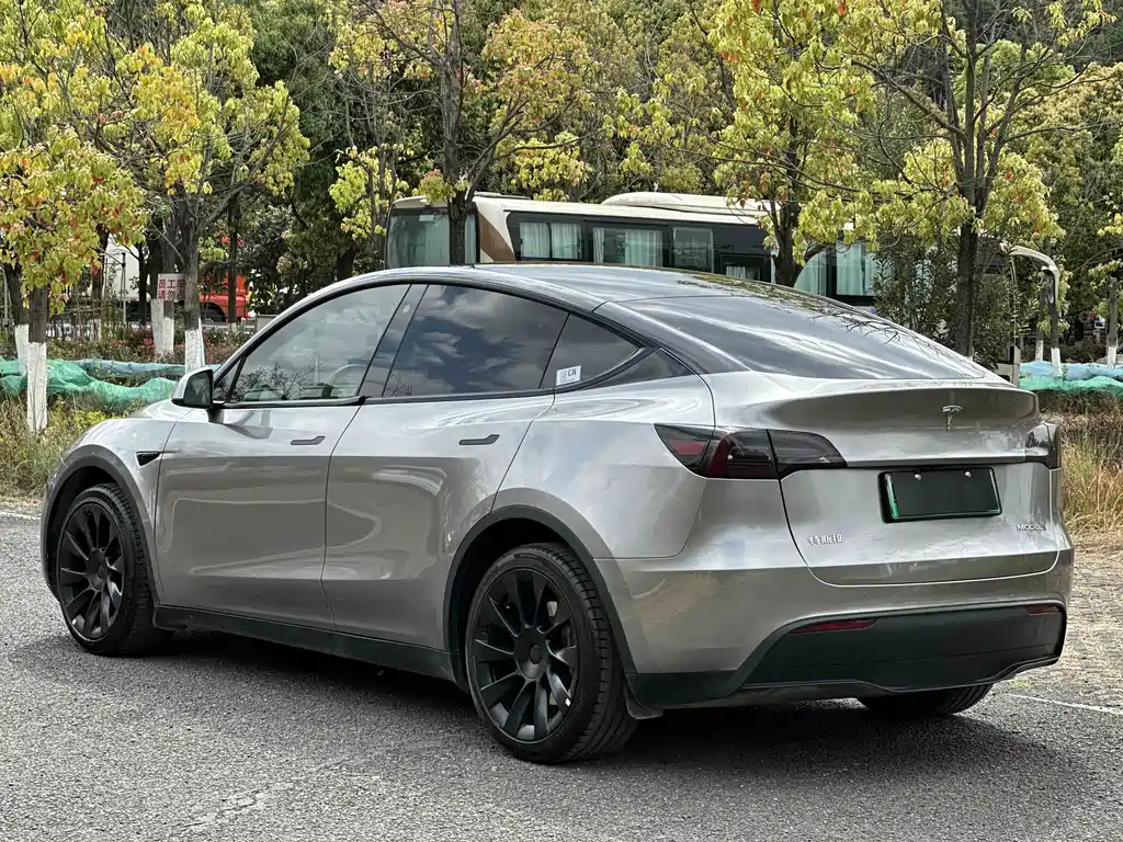 Tesla Model Y 2023 — фото 6