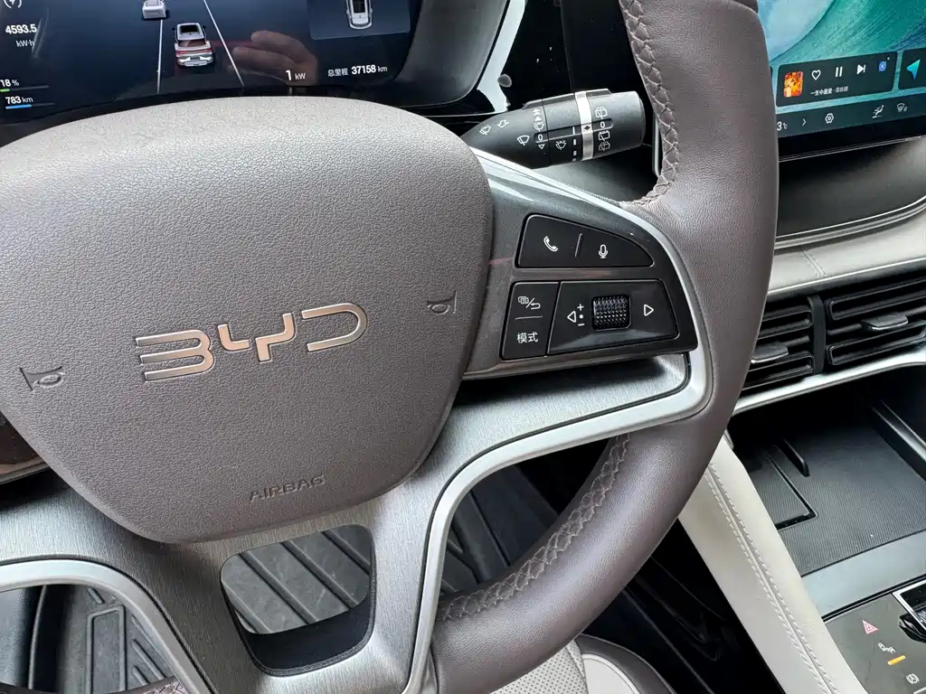 BYD Song PLUS New Energy 2025 — фото 5