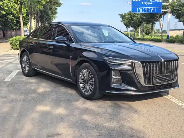 Hongqi H5 2024