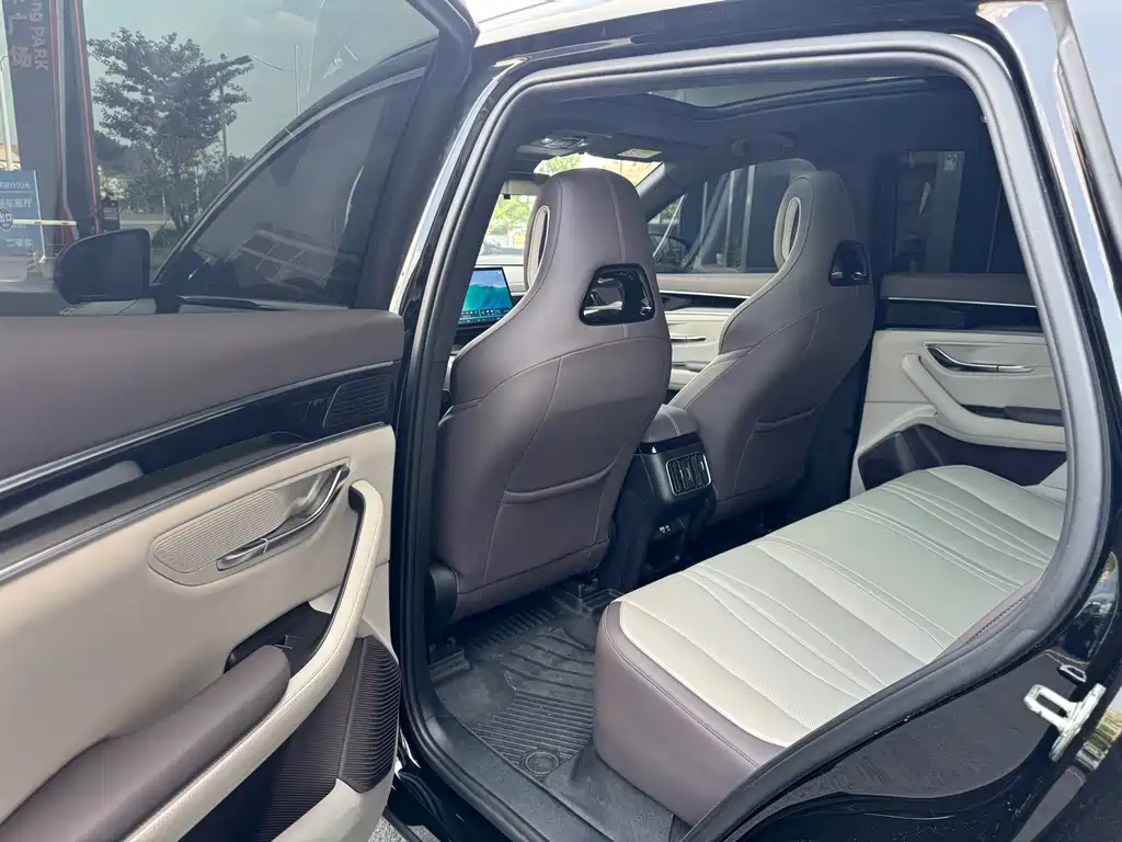 BYD Song PLUS New Energy 2025 — фото 8