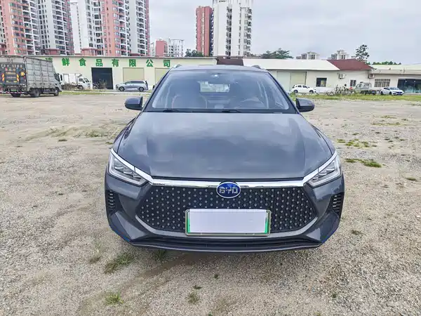 BYD e2 2021