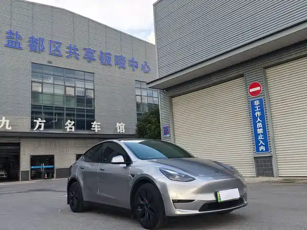 Tesla Model Y 2021