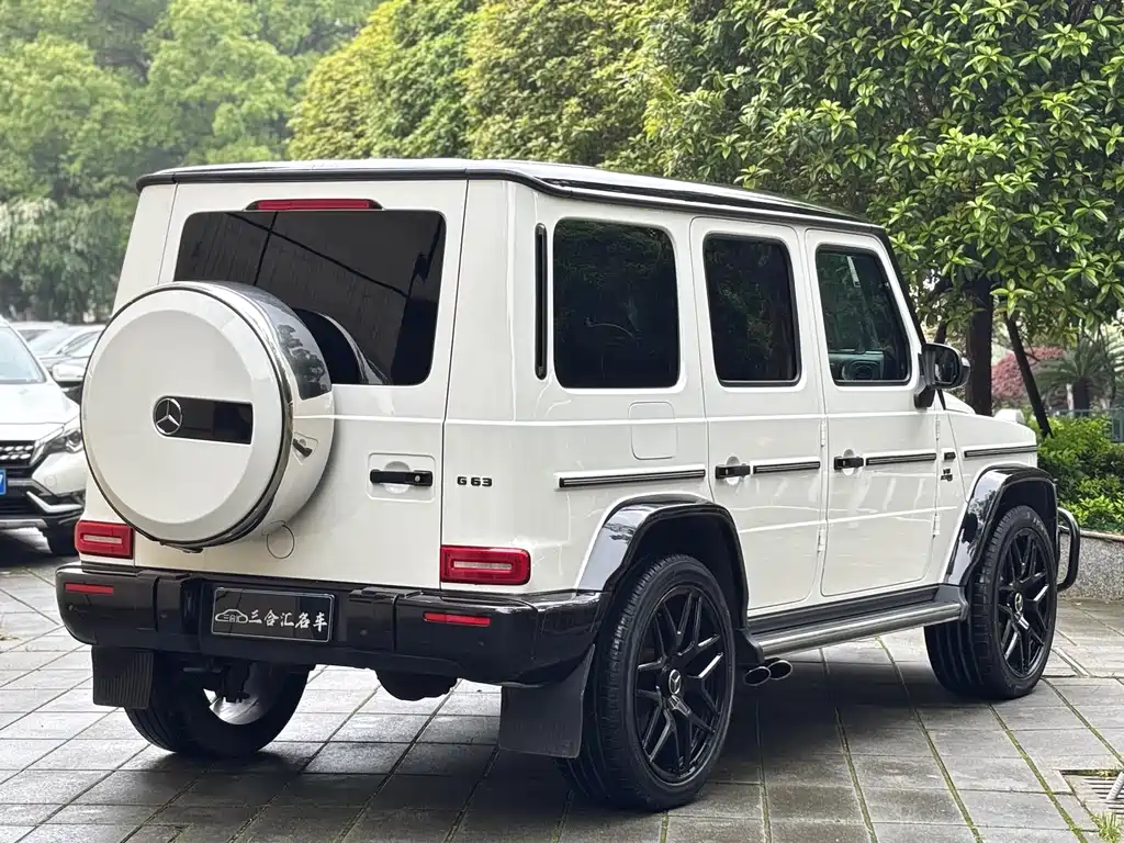 Mercedes-Benz G-Class 2018 — фото 4