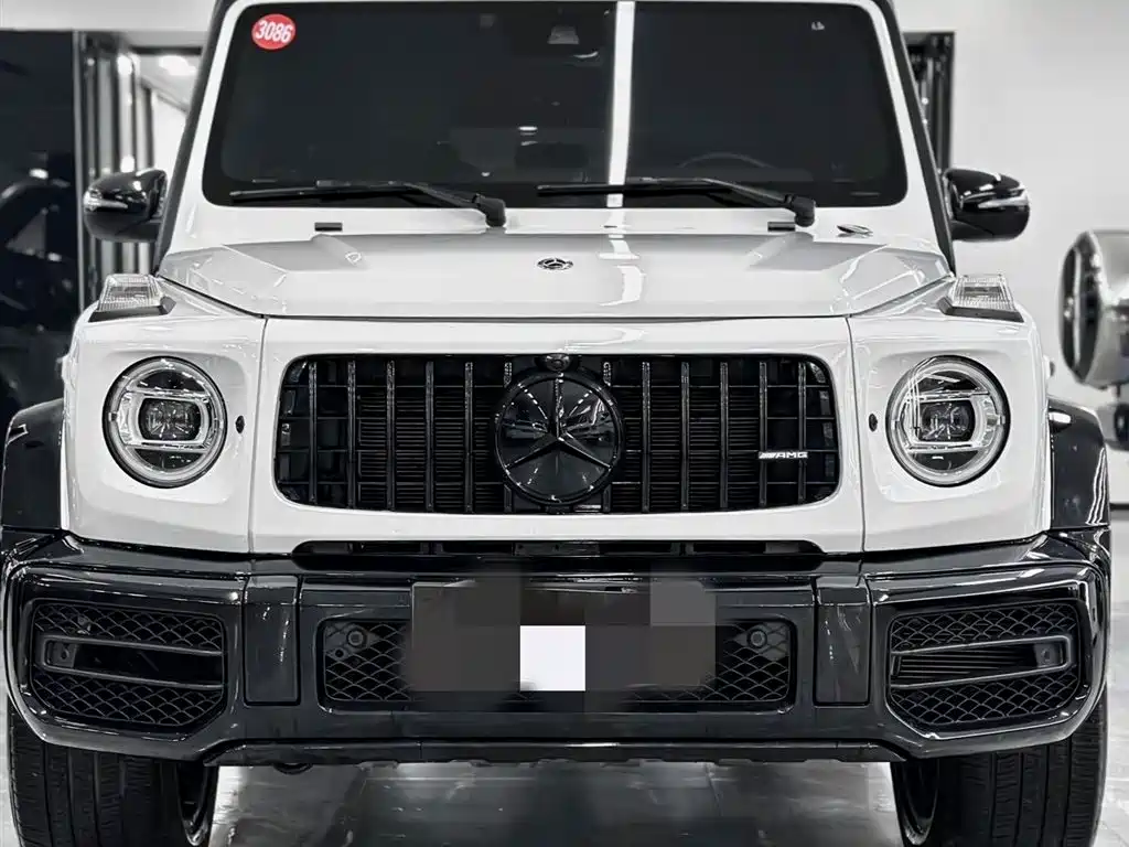 Mercedes-Benz G-Class 2019 — фото 2