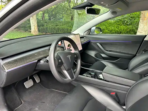 Tesla Model 3 2020