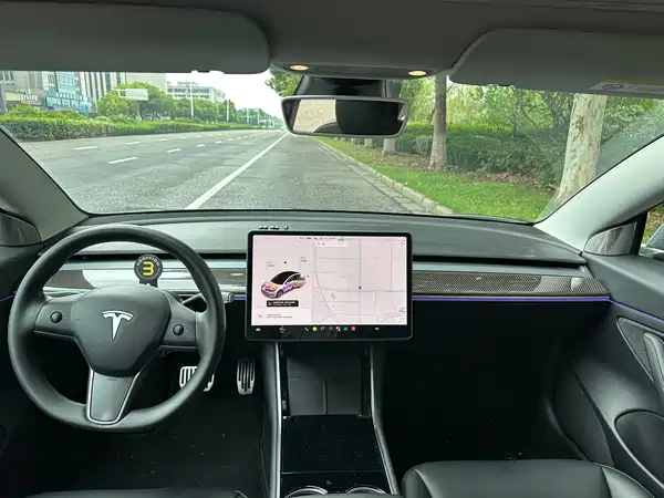 Tesla Model 3 2020
