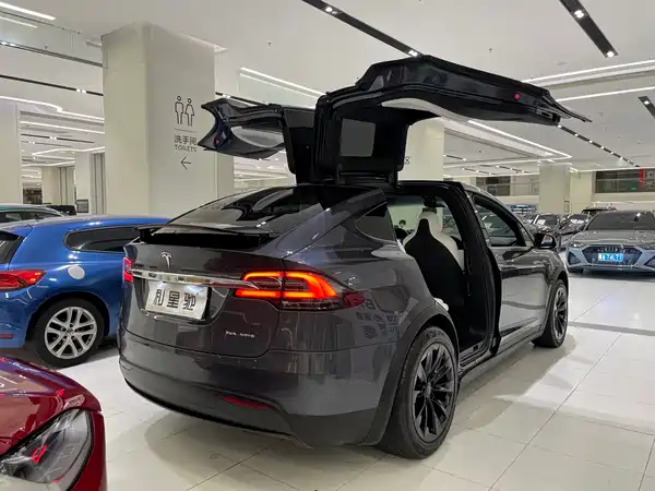 Tesla Model X 2019