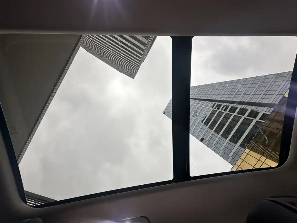 Hongqi E-HS9 2022 — фото 20