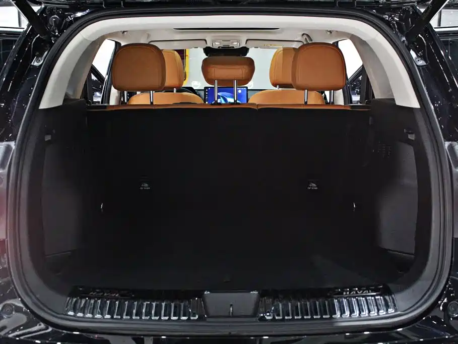 Haval Dargo PLUS EV 2024 — фото 13
