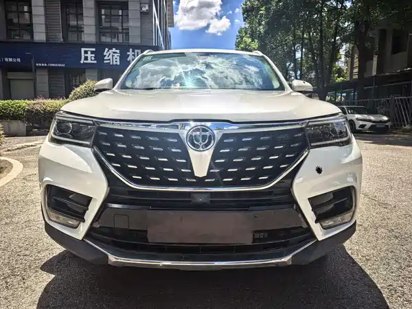 Brilliance V7 2019