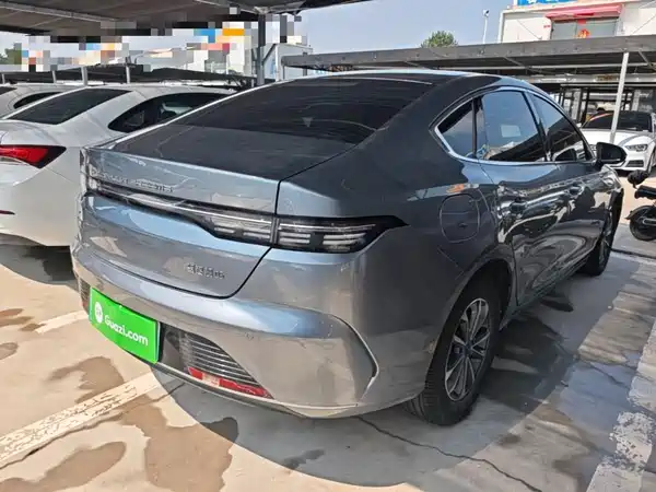 BYD Destroyer 05 2024