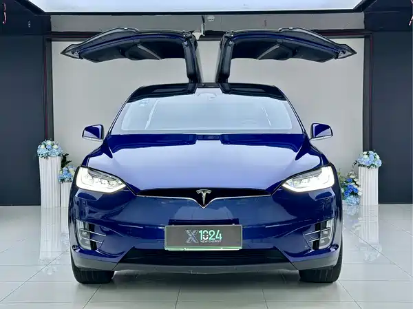 Tesla Model X 2020