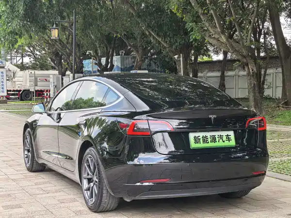 Tesla Model 3 2020