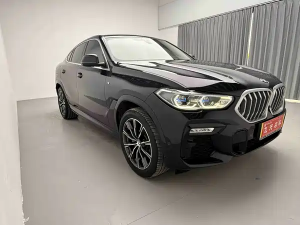 BMW X6 2021