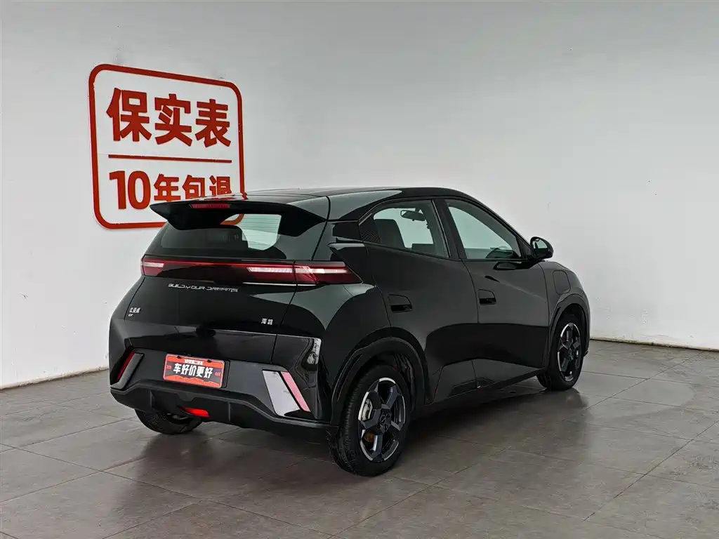 BYD Seagull 2024
