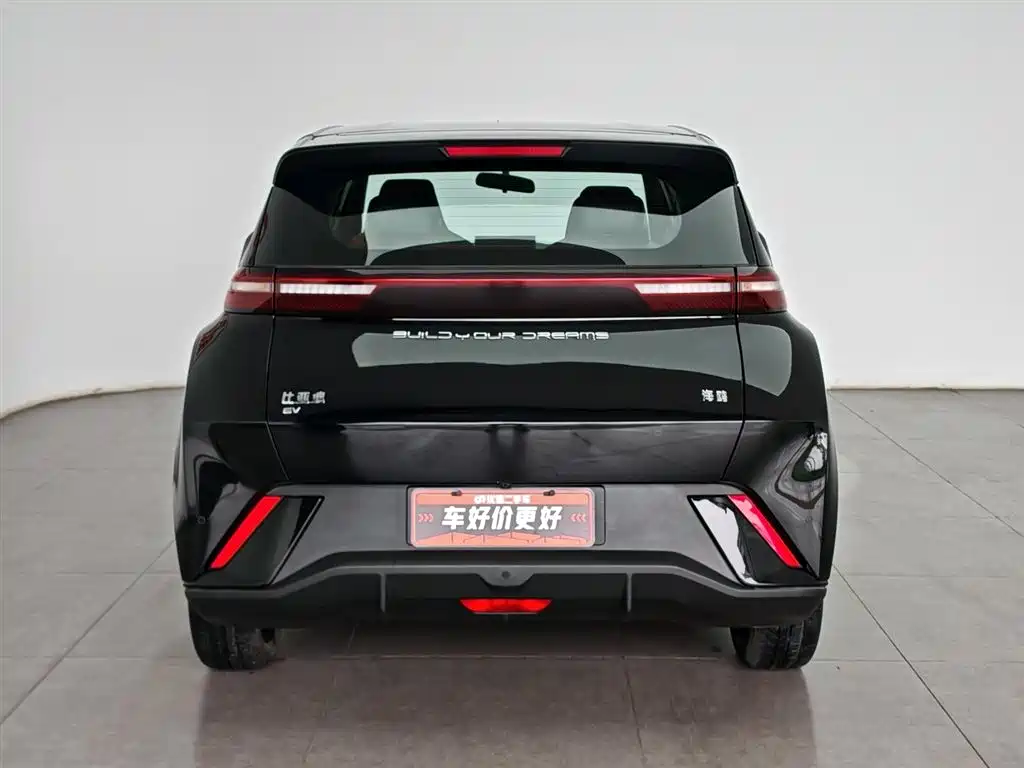 BYD Seagull 2024