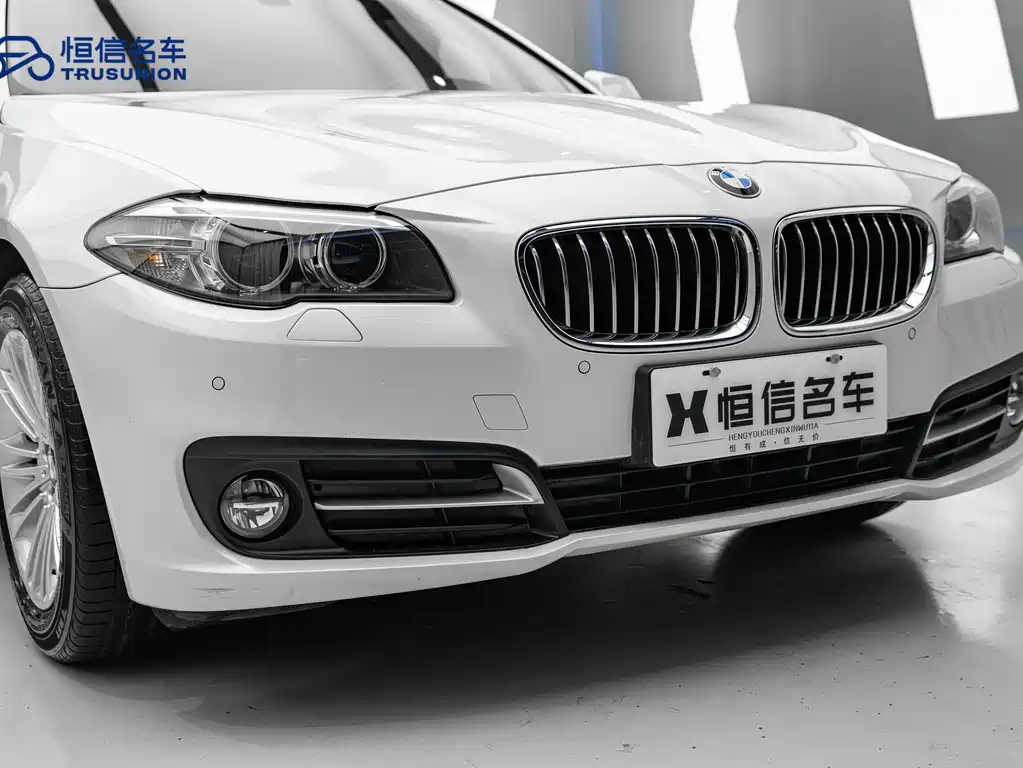 BMW 5 Series 2016 — фото 10