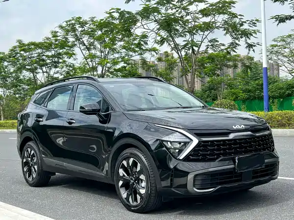 Kia Lion Platinum Expands The Boundary 2024