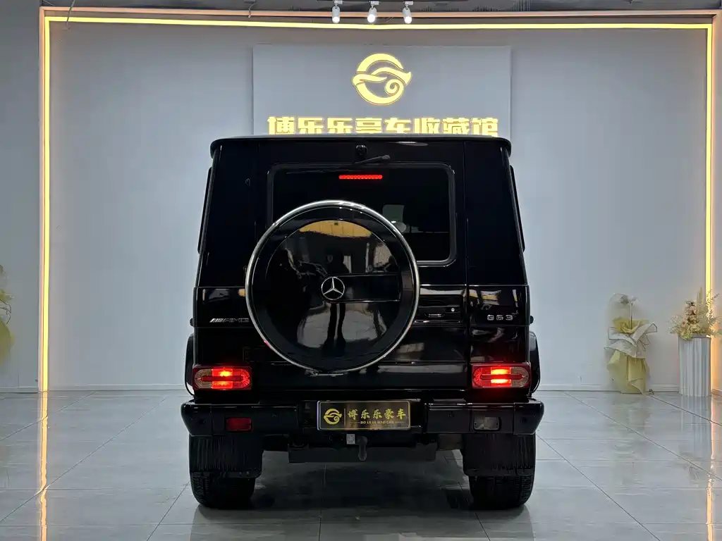 Mercedes-Benz G-Class 2017 — фото 16