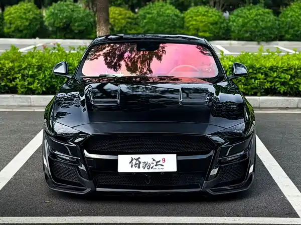 Ford Mustang 2019