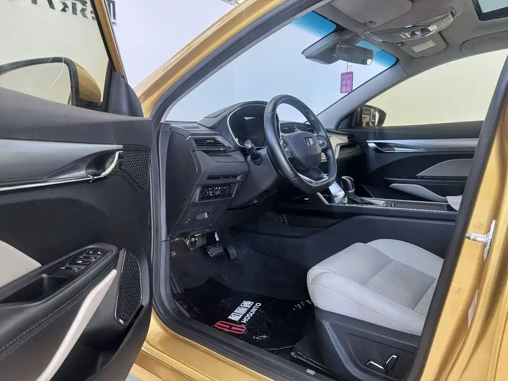 Geely Binrui 2019