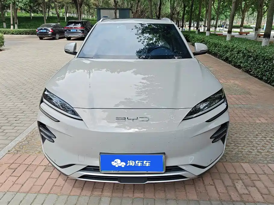 BYD PLUS New Energy 2024 — фото 2