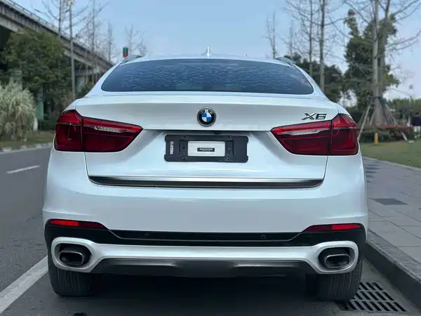 BMW X6 2017