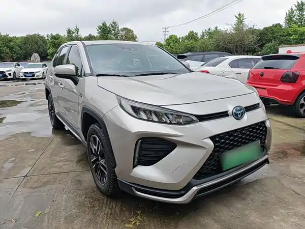 Toyota Weilanda New Energy 2021