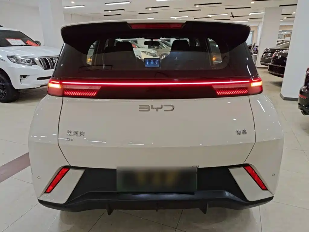 BYD Seagull 2024
