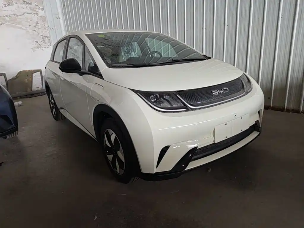 BYD Dolphin 2026