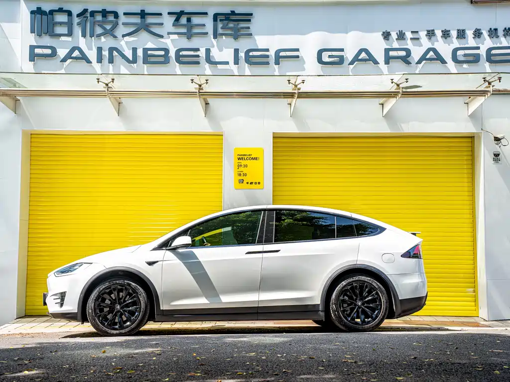 Tesla Model X 2019 — фото 3