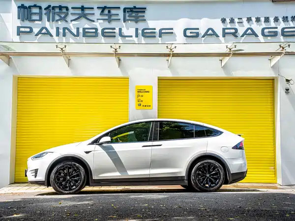 Tesla Model X 2019