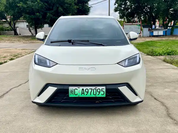 BYD Seagull 2024