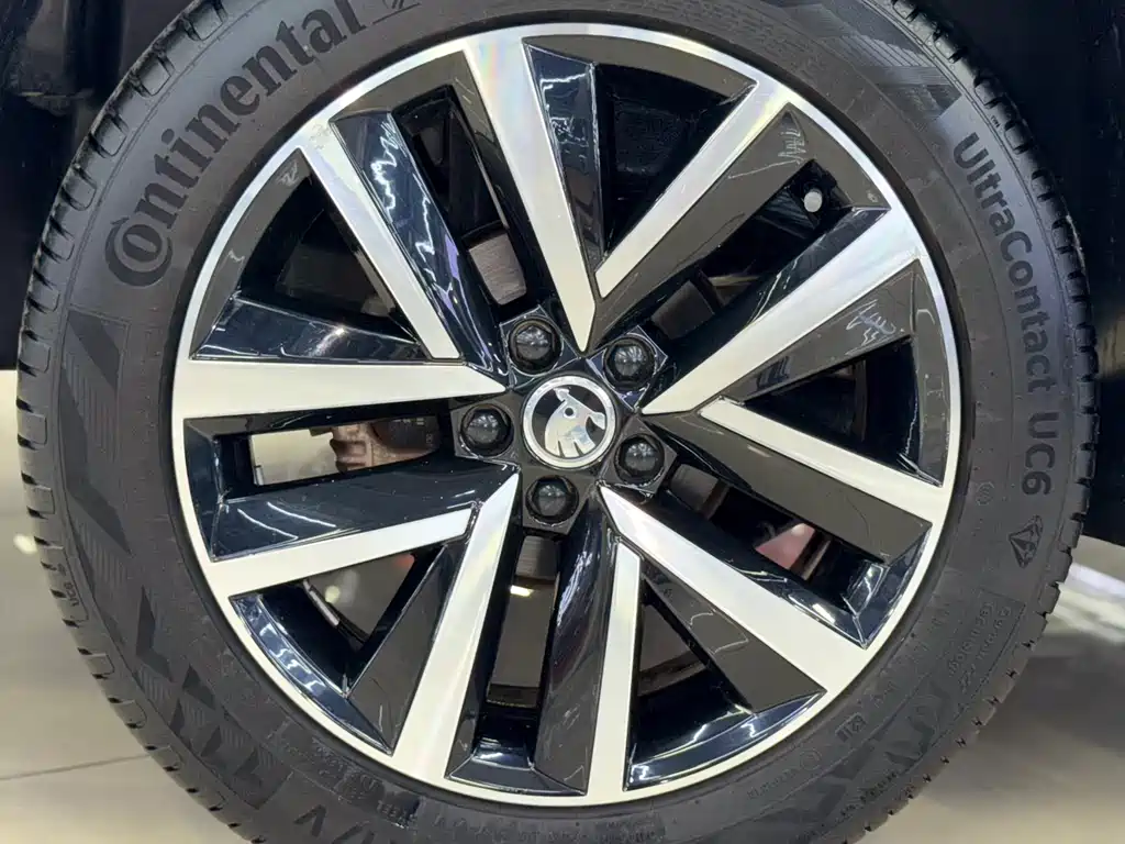 Skoda Kamiq 2019 — фото 24