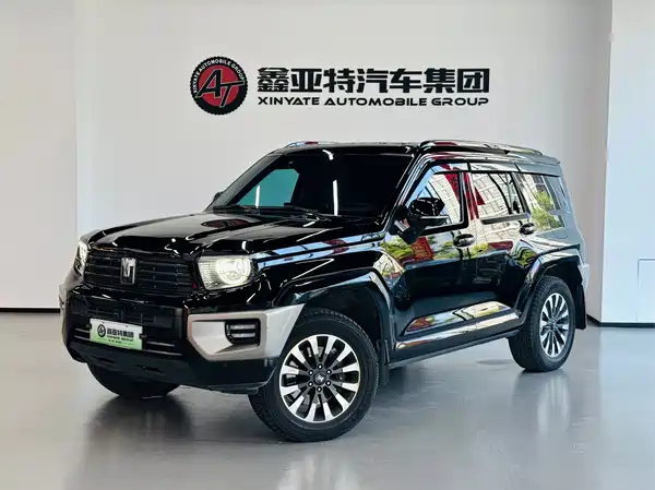 Tank 700 New Energy 2024
