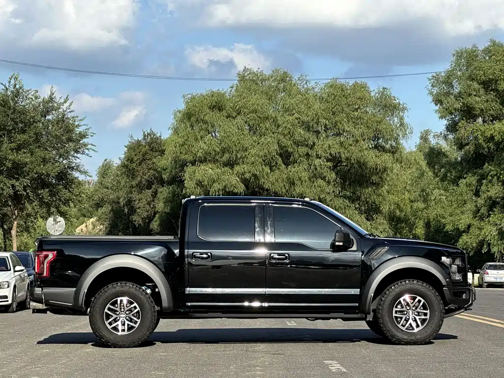 Ford F-150 Raptor 2018 — фото 5