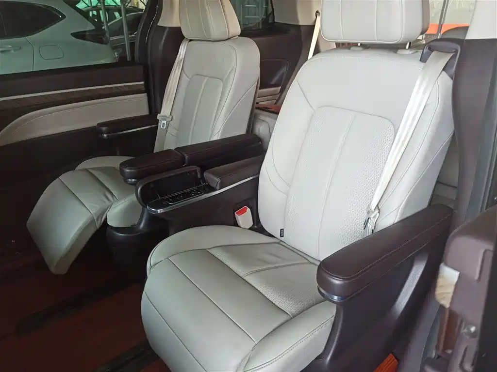 GAC Motor Trumpchi M8 2021 — фото 10