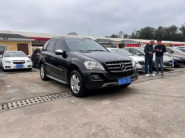 Mercedes-Benz M-Class 2010