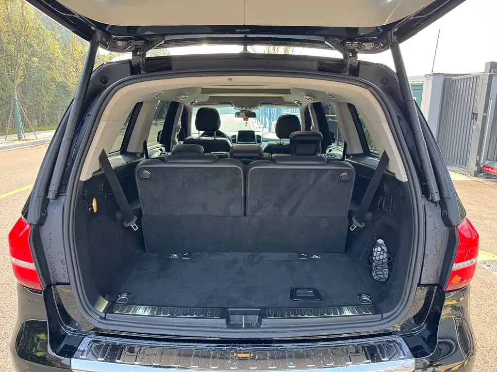Mercedes-Benz GLS 2017 — фото 13