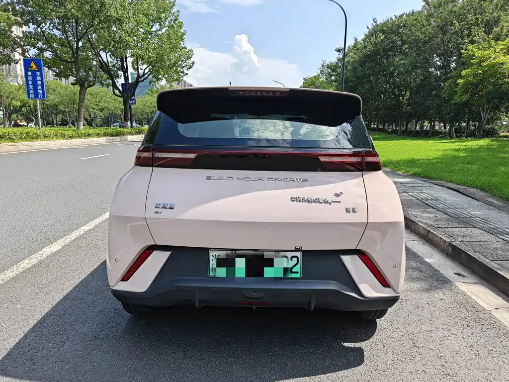 BYD Seagull 2024
